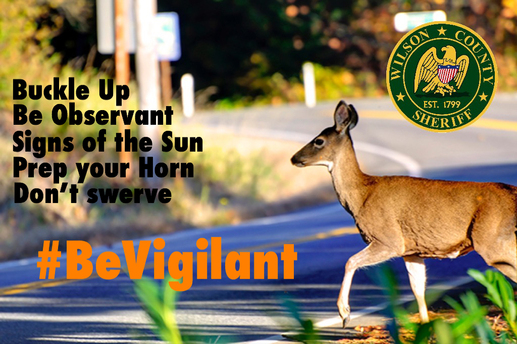 Deer Season Safety Tips To Keep In Mind While Traveling the Roadways